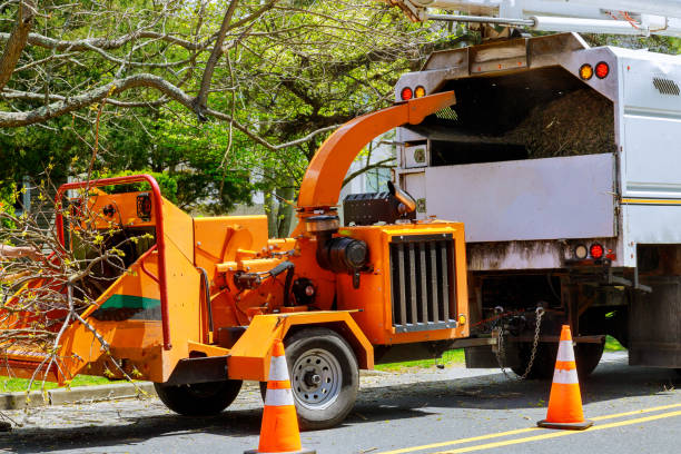 Mulching Services in Royal Palm Beach, FL